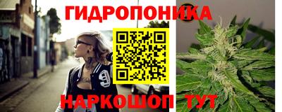 PSILOCYBIN Малгобек