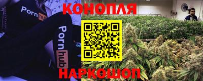 сатива Мариинск