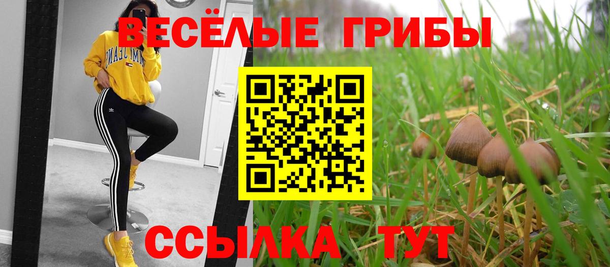 Псилоцибиновые грибы прущие грибы Воркута