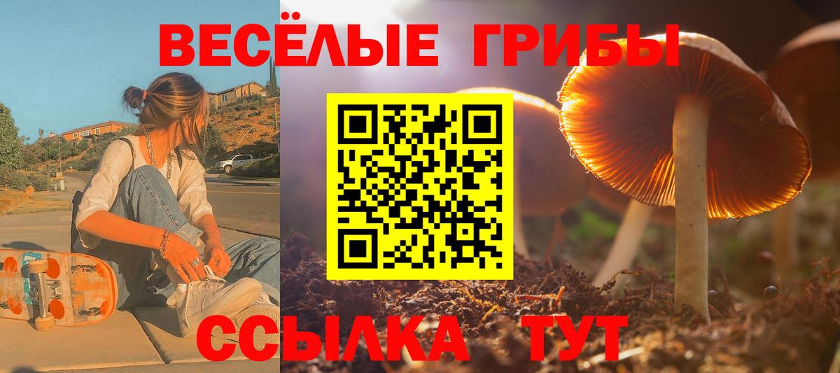 Воркута  Псилоцибиновые грибы Magic Shrooms  Галлюциногенные грибы мухоморы  Вход с VPN 
